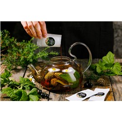 Авторский чай ТАЕЖНЫЙ с сосновой шишкой, розмарином,можевельником, душицей/ 50+40(сироп)г / BioNergi