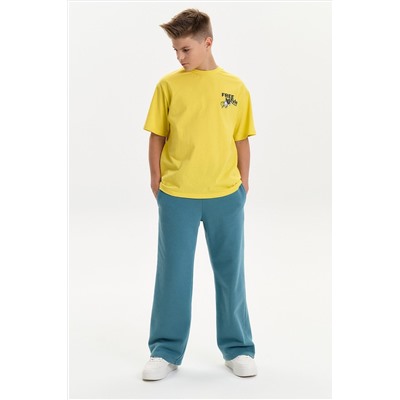 Брюки для мальчиков PELICAN, 1232757