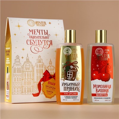 Подарочный набор «Мечты сбудутся», гель для душа и шампунь для волос, 2×250 мл, URAL LAB