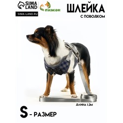 Комплект амуниции с мягкой шлейкой, S, поводок 120×1 см, ОШ 20-40 см, ОГ 30-44 см, серый