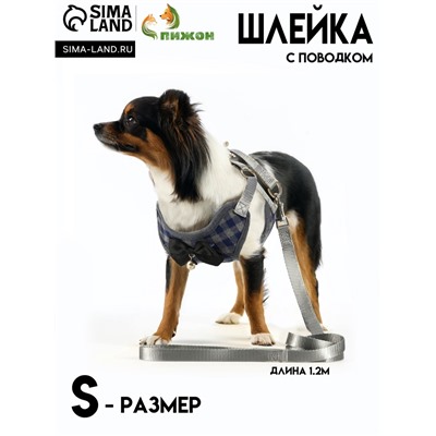 Комплект амуниции с мягкой шлейкой, S, поводок 120×1 см, ОШ 20-40 см, ОГ 30-44 см, серый