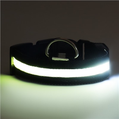 Ошейник с подсветкой размер S, ОШ 35-43×2.5 см, 3 режима свечения чёрный