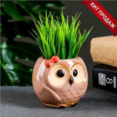 Декоративный горшок для цветов «Совёнок Бом», 180 мл, 7×6×6.5 см, керамический