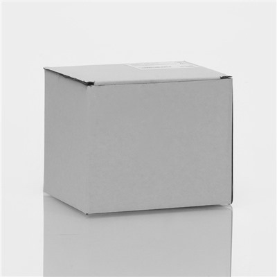 Кружка стеклянная с двойными стенками «Риба», 250 мл