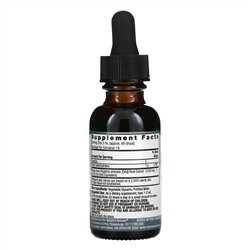 Nature's Answer, Дудник китайский, без спирта, 1000 мг, 1 жидкая унция (30 мл)