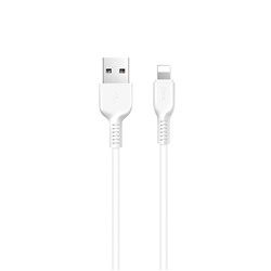 Кабель USB - Apple lightning Hoco X20 Starlight Glare 12W 300см 2,4A  (white)