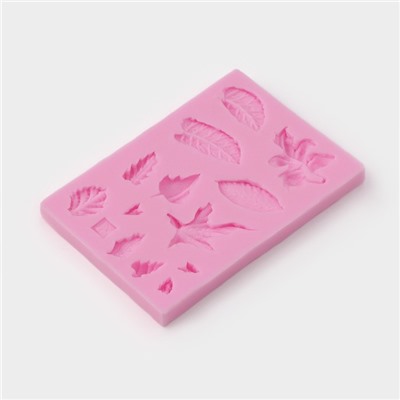 Молд для заливки Доляна «Гербарий», силикон, 14 ячеек, 8×5×0.8 см, розовый