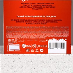 Подарочный набор новогодний «С Новым годом», гель для душа 250 мл и мочалка для тела, Чистое счастье