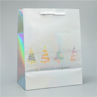 Пакет новогодний подарочный голографический «С Новым годом», 18×23×10 см
