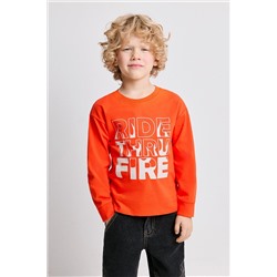 Джемпер ACOOLA, 1233378