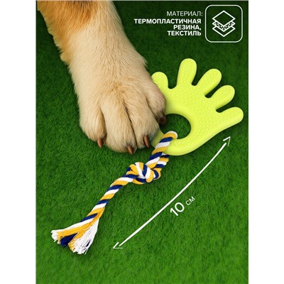 Игрушка жевательная для собак «Ладошка», 10 см, с канатом, салатовая