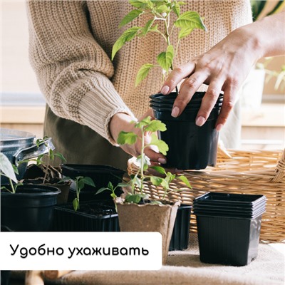 Набор для рассады: стаканы по 500 мл (8 шт.), поддон 40 × 20 см, чёрный, Greengo