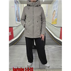 Куртка осень 1983627-1