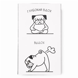 Носки мужские KAFTAN Sport, р. 41-44 (27-29 см), набор 2 пары