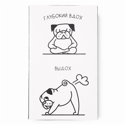 Носки мужские KAFTAN Sport, р. 41-44 (27-29 см), набор 2 пары