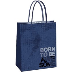 Пакет бумажный 18х23х10 см "Потрясающий" MS_61588 (371027) MESHU