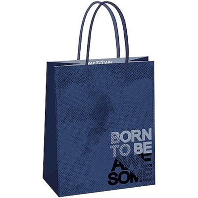 Пакет бумажный 18х23х10 см "Потрясающий" MS_61588 (371027) MESHU