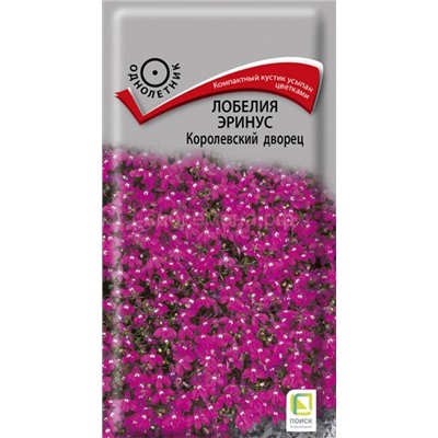 Лобелия Королевский дворец (П)