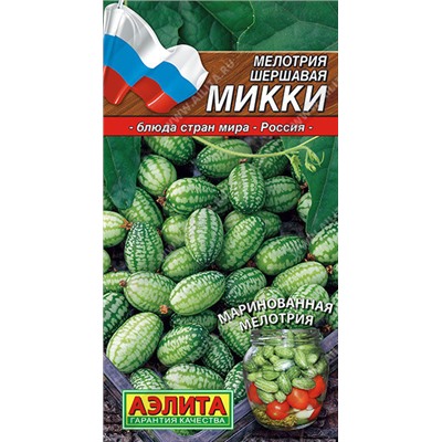 0611A Мелотрия (Мышиная дыня) Микки 10 шт