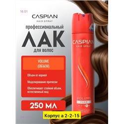 Лак-клей для волос 2051573-4