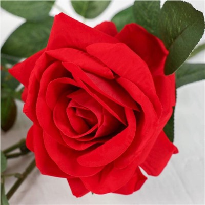 Цветы искусственные «Куст красных роз», 12×100 см