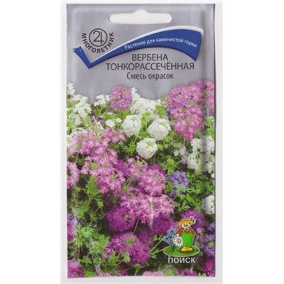 Вербена Смесь окрасок тонкорассеченная (Код: 66062)