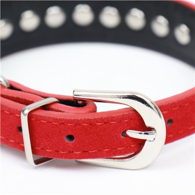 Ошейник «Бархат и стразы», 31×1.3/2 см, ОШ 22-28 см, красный
