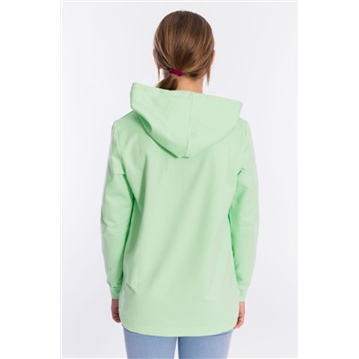 Толстовка М22136Па