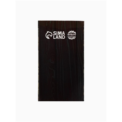 Подарочный набор «23 Февраля», носки + шоколад