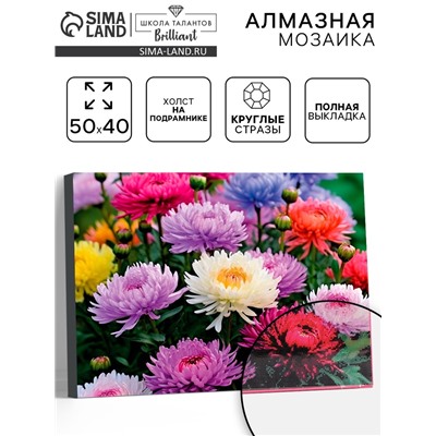 Алмазная вышивка полное заполнение «Астры», на раме, 40×50 см