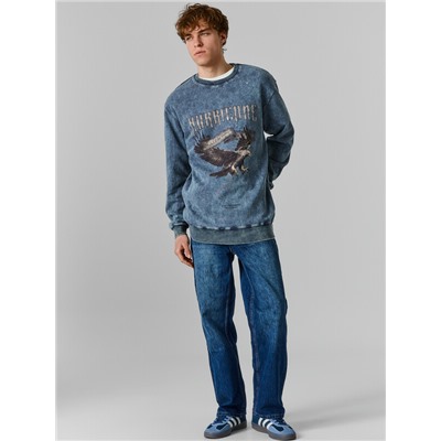 СВИТШОТ МУЖСКОЙ 121873/1