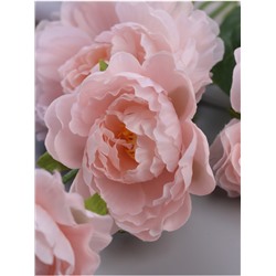 Цветы искусственные «Пион галант колор», 74×10 см, розовые