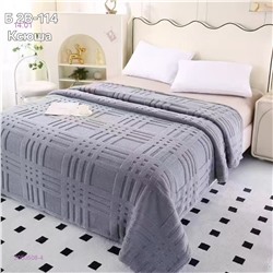 ПЛЕДЫ 2050508-4