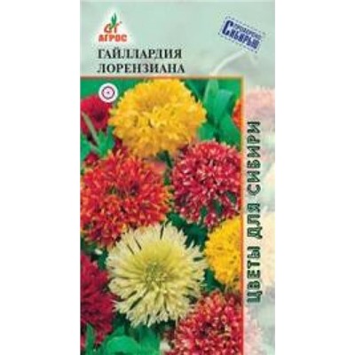 Гайлардия Лорензиана (Код: 10242)
