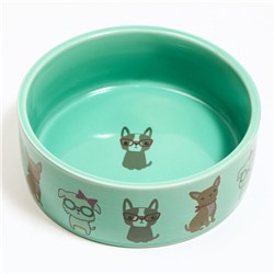 Миска керамическая «Важный пес» 250 мл - 11.5×11.5×5 см, зелёная