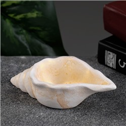 Декоративное кашпо для цветов «Ракушка», 50 мл, 13×6×3 см, гипс, бежевое