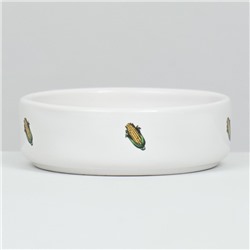 Миска для грызунов «Кукуруза», 80 мл 8.5×3 см, керамика