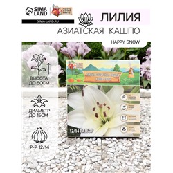 Лилия Азиатская Кашпо Happy Snow, луковица в пакете с перфорацией, р-р 12/14, 2 шт.