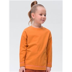 GFJ3319 (Джемпер для девочки, Pelican )