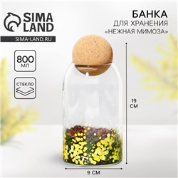Банка стеклянная для хранения сыпучих продуктов и круп «Нежная мимоза», 800 мл