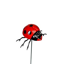 Штекер садовый «Божья коровка дайтон», 6×5 см, h=30 см, белый, Greengo