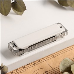 Губная гармошка Music Life T008L C диатоническая, 10 отверстий, с футляром