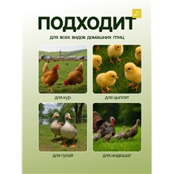 Кормушка бункерная для домашней птицы на 10 кг, пластик, Greengo