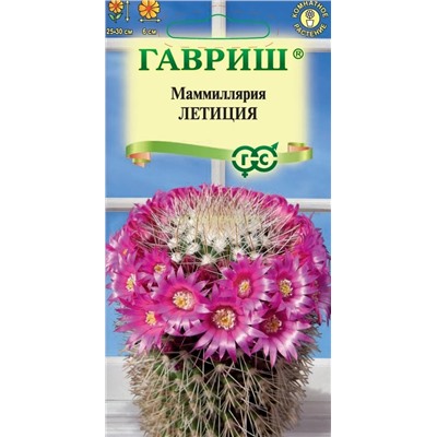 Кактус Маммиллярия Бакеберга Летиция (Гавр)