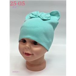 шапка 2054028-3