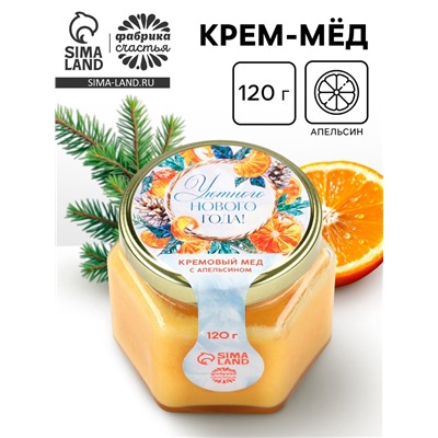 Мёд кремовый «Уютного Нового года», с апельсином, 120 г