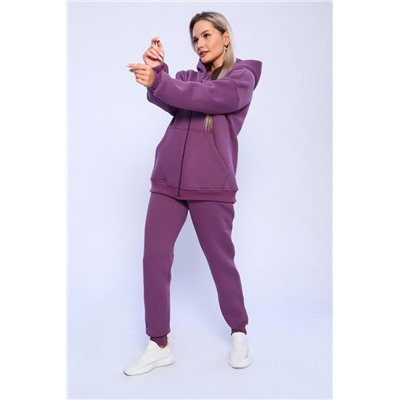 688 Костюм с начесом ZIP (Ежевичный)