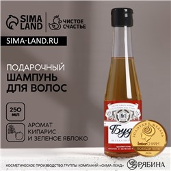 Шампунь для волос пиво «Будь!», 250 мл, аромат кипариса и зелёного яблока, Чистое счастье