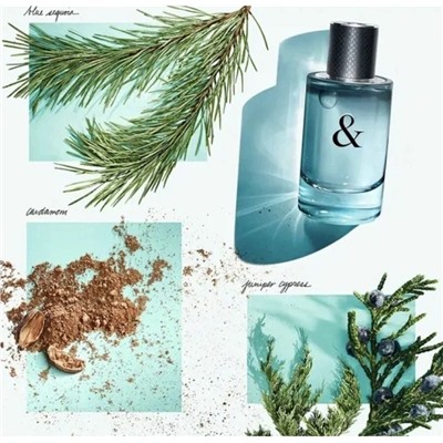 Tiffany & Co  Love For Him