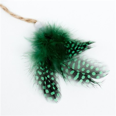 Игрушка для кошек «Лягушонок», с кошачьей мятой и перьями, 10 см, с бубенчиком, зелёная